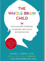 The Whole Brain Child cover