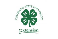 Logo for 4H Program Logo for 4H Program